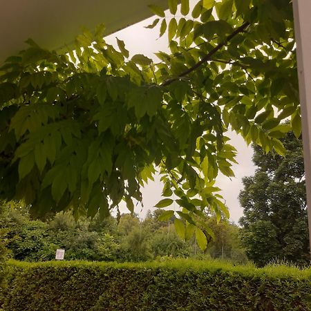 City Apartment Tuebingen-Lustnau Esterno foto